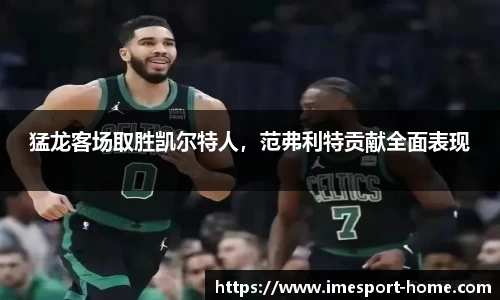 IM电竞官方网站
